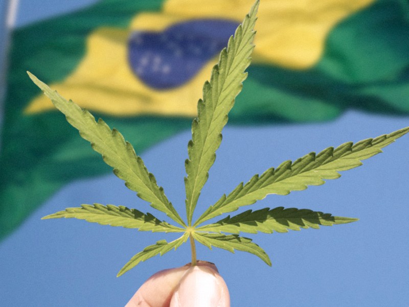 5.5 A maconha foi legalizada no&nbsp;Brasil?